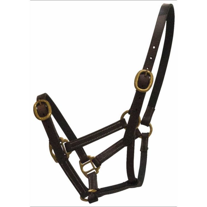 Licol cuir yearling - Latigo