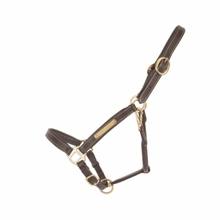 Licol en cuir matelassé et doublé
