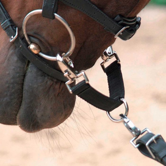 briderie cheval