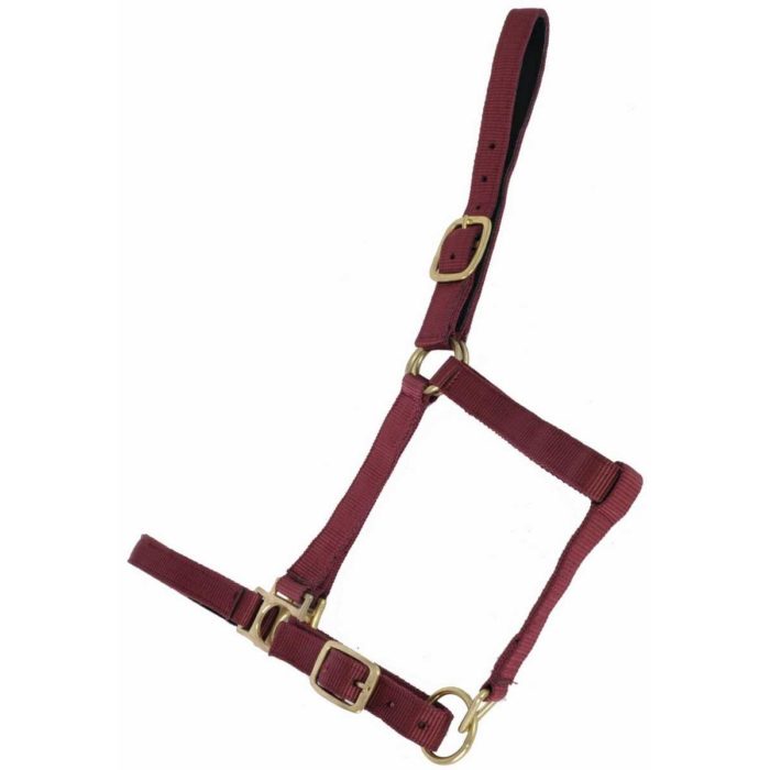 Licol nylon doublé cuir