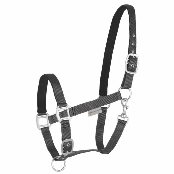 Licol nylon doublé polaire - yearling