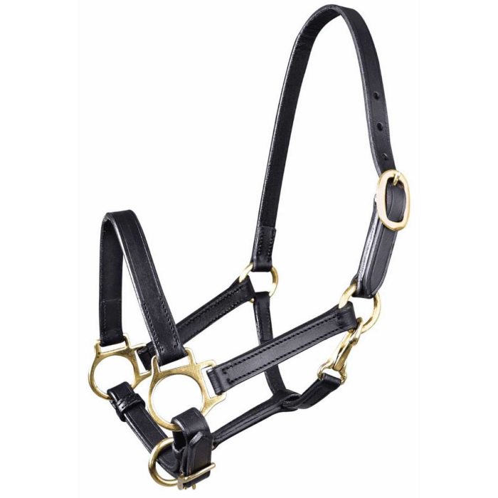 Licol cuir poulain