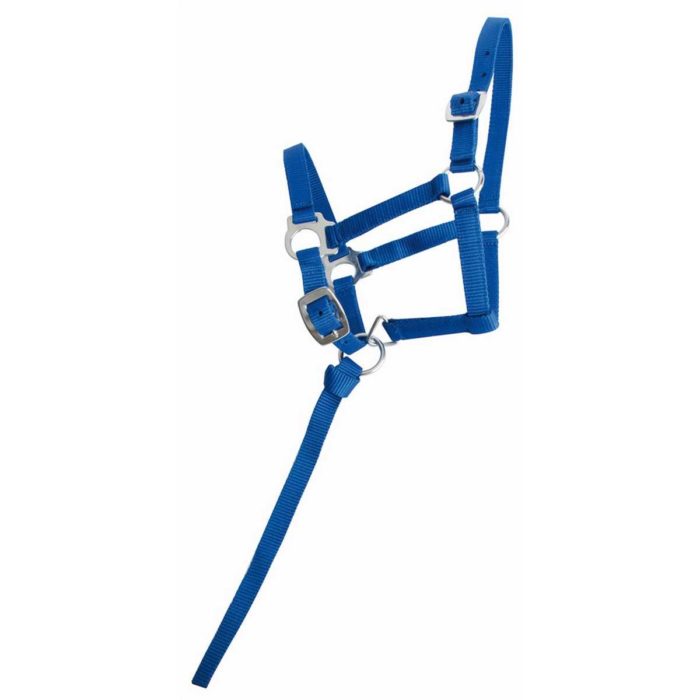 Licol nylon poulain avec mini-longe