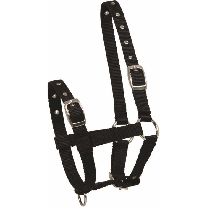 Licol nylon foal