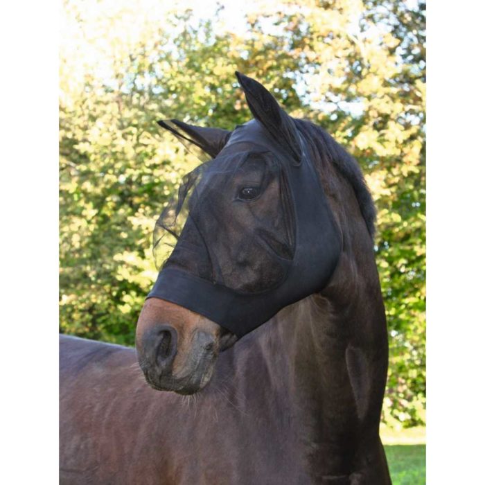 bonnet et masque cheval