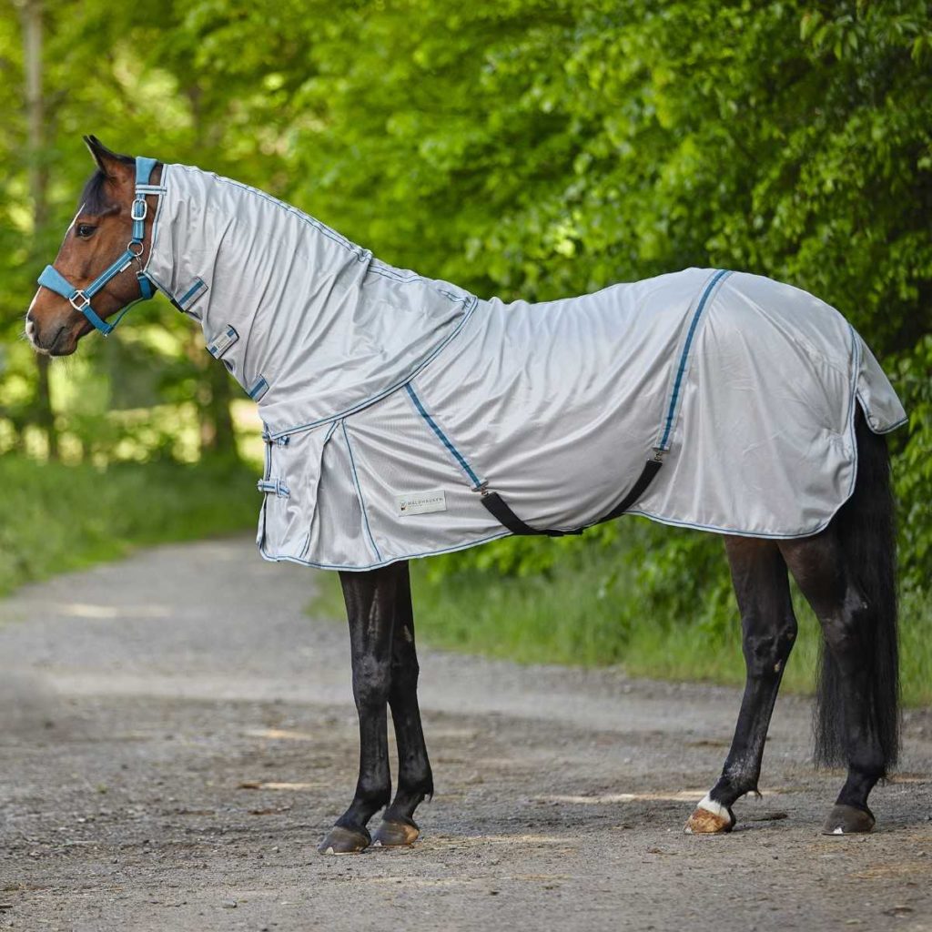 Technique équestre dernière chemise d'équitation couche de base Womens Equestria