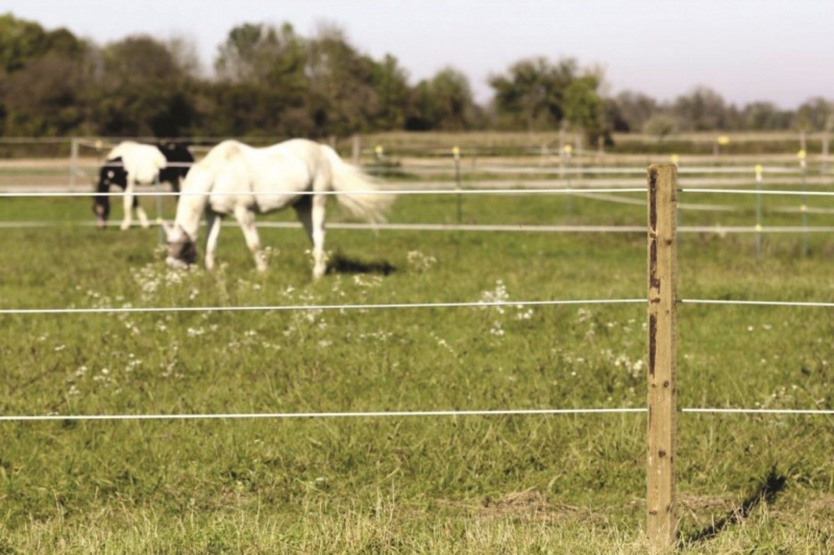 Cordon Toplin Horsewire - galva et polymère - 200m 3 Cordon Toplin Horsewire - galva et polymère - 200m – Image 3